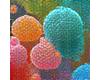 Microscopic view of healthy gut bacteria