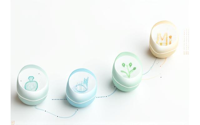 Infographic illustration of a five-step wellness journey, showing progress and growth